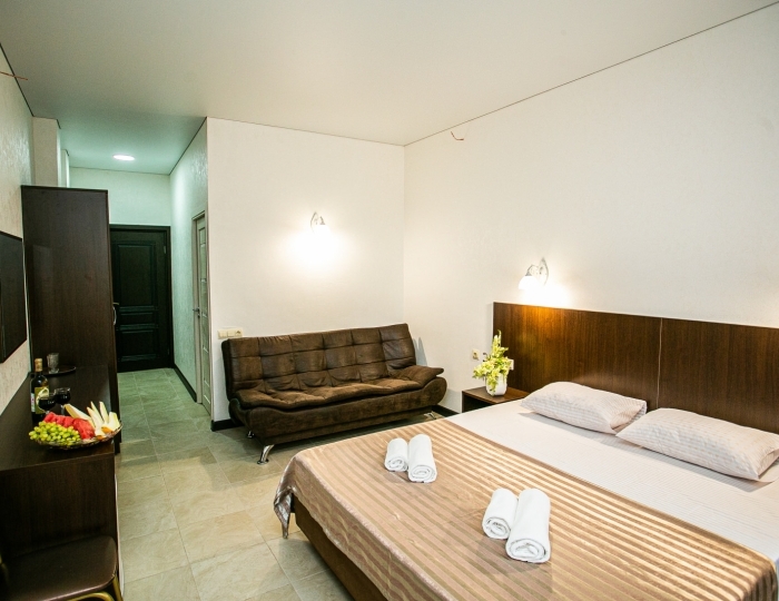 Стандарт 2-местный 1-комнатный - Отель «Гости Кавказа» Цандрипш