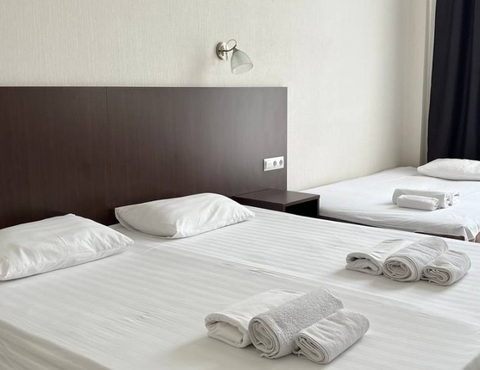 Супериор 2-местный 1-комнатный - Отель «Гости Кавказа» Цандрипш