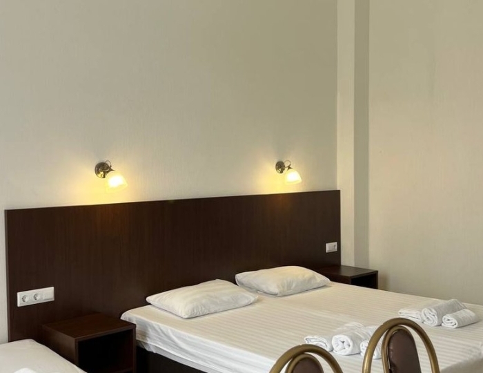 Супериор 2-местный 1-комнатный - Отель «Гости Кавказа» Цандрипш